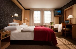 Hotele 4**** - Centrum Hotelowo-Konferencyjne Witek - obiekt - zdjęcie 24 