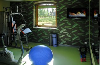 Hotele 4**** - Centrum Hotelowo-Konferencyjne Witek - obiekt - zdjęcie 42 