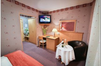 Hotele 4**** - Centrum Hotelowo-Konferencyjne Witek - obiekt - zdjęcie 28 