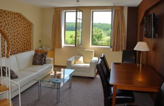 Hotele 4**** - Centrum Hotelowo-Konferencyjne Witek - obiekt - zdjęcie 29 