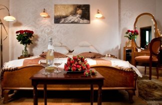 Hotele 4**** - Centrum Hotelowo-Konferencyjne Witek - obiekt - zdjęcie 30 