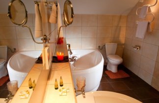 Hotele 4**** - Centrum Hotelowo-Konferencyjne Witek - obiekt - zdjęcie 26 