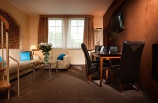 Hotele 4**** - Centrum Hotelowo-Konferencyjne Witek - obiekt - zdjęcie 25 