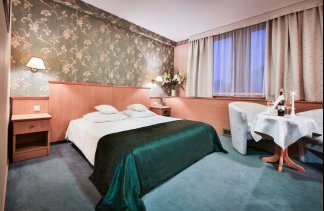 Hotele 4**** - Centrum Hotelowo-Konferencyjne Witek - obiekt - zdjęcie 19 