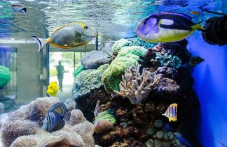 Hotele 4**** - Centrum Hotelowo-Konferencyjne Witek - obiekt - zdjęcie 13 