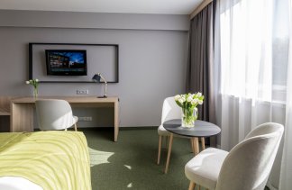 Hotele 4**** - Centrum Hotelowo-Konferencyjne Witek - obiekt - zdjęcie 18 