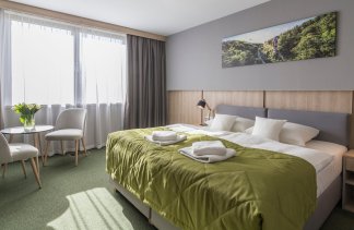 Hotele 4**** - Centrum Hotelowo-Konferencyjne Witek - obiekt - zdjęcie 17 