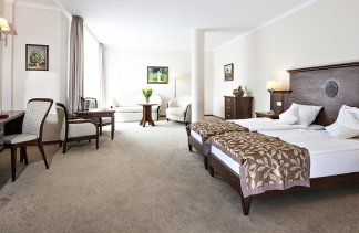 Hotele 4**** - Hotel Lubicz**** - obiekt - zdjęcie 15 