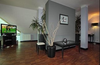 Obiekty konferencyjne - Maranello Hotel i Restauracja - obiekt - zdjęcie 17 