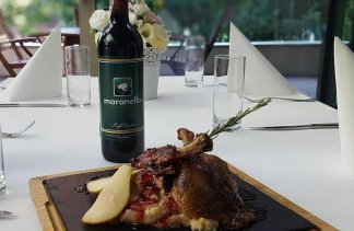 Obiekty konferencyjne - Maranello Hotel i Restauracja - obiekt - zdjęcie 15 