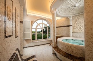 Pałace - Pałac Śmiłowice  - obiekt - zdjęcie 14 