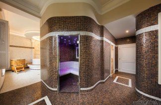 Pałace - Pałac Śmiłowice  - obiekt - zdjęcie 18 