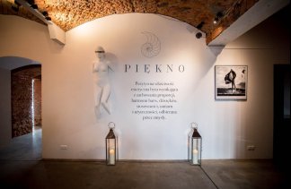 Obiekty konferencyjne - Piękno - obiekt - zdjęcie 19 