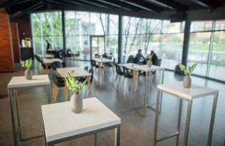 Obiekty kultury - Muzeum Sztuki i Techniki Japońskiej Manggha - obiekt - zdjęcie 19 