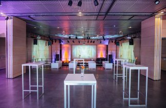 Obiekty kultury - Muzeum Sztuki i Techniki Japońskiej Manggha - obiekt - zdjęcie 8 