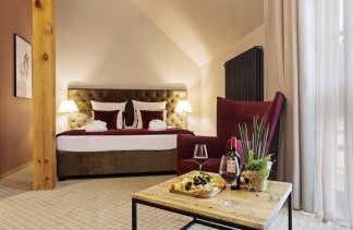 Hotele SPA - Ostoja Chobienice - Pokoje - zdjęcie 12 