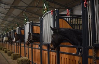 Hotele SPA - Ostoja Chobienice - service - zdjęcie 1 