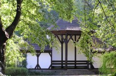 Zamki - Zamek w Rydzynie - zdjęcie 3