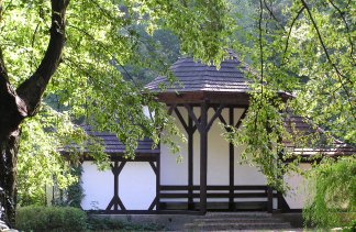 Zamki - Zamek w Rydzynie - obiekt - zdjęcie 3 