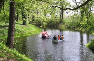 Zamki - Zamek w Rydzynie - service - zdjęcie 3 