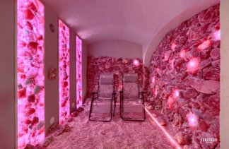 Pałace - Pałac Wierzbiczany - obiekt - zdjęcie 26 