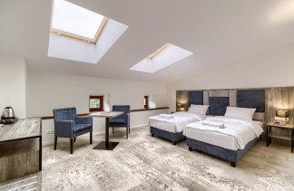 Pałace - Pałac Wierzbiczany - obiekt - zdjęcie 8 