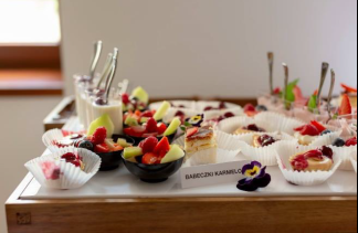 Pałace - Pałac Wierzbiczany - obiekt - zdjęcie 17 