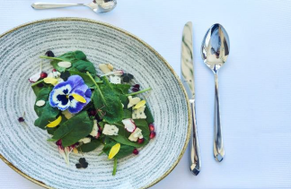 Pałace - Pałac Wierzbiczany - obiekt - zdjęcie 22 