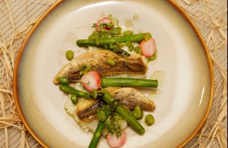 Hotele 3*** - Hotel Wielspin - obiekt - zdjęcie 13 