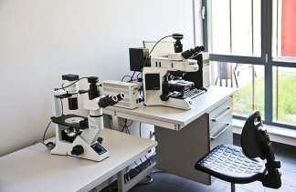 Centra konferencyjne - Olsztyński Park Naukowo-Technologiczny - obiekt - zdjęcie 10 