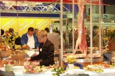 Hale widowiskowo - sportowe - Akademia Wychowania Fizycznego i Sportu w Gdańsku - zdjęcie 3