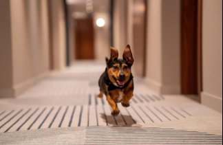 Hotele 5***** - Hotel Belmonte ***** Krynica -Zdrój - obiekt - zdjęcie 11 