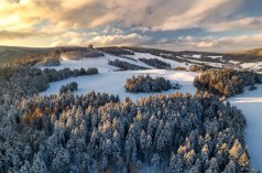 Hotele 5***** - Hotel Belmonte ***** Krynica -Zdrój - zdjęcie 3