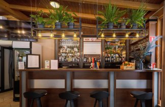 Hotele 3*** - Hotel Łaziska - service - zdjęcie 3 