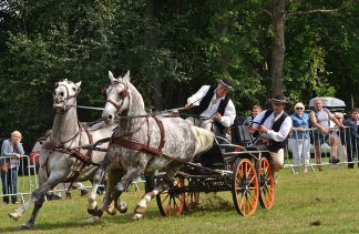 Hotele 3*** - Hotel Logos*** Zakopane - obiekt - zdjęcie 28 