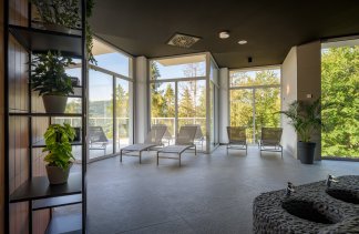 Hotele 5***** - Crystal Mountain Resort***** - service - zdjęcie 7 