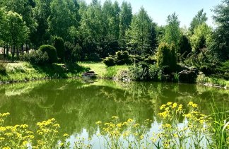 Hotele konferencyjne - Arboretum Hotel & Restaurant - obiekt - zdjęcie 13 