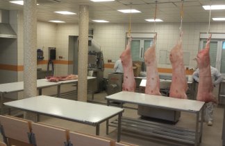 Centra konferencyjne - Polwita - obiekt - zdjęcie 8 