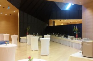 Centra kongresowe - Międzynarodowe Centrum Kongresowe w Katowicach - obiekt - zdjęcie 25 