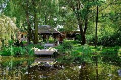 Dworki - Jaworowy Dwór - zdjęcie 3