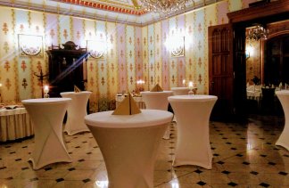 Pałace - Restauracja Pałac Większyce - obiekt - zdjęcie 11 