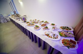 Centra konferencyjne - Domki u Anny - Sala Bankietowa SADOVA - obiekt - zdjęcie 14 