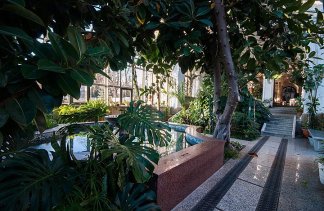 Zamki - Moszna Zamek - obiekt - zdjęcie 8 