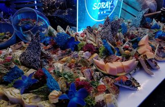 Hotele konferencyjne - Hotel SORAY*** - obiekt - zdjęcie 41 