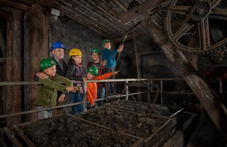Obiekty kultury - Muzeum Górnictwa Węglowego w Zabrzu - obiekt - zdjęcie 9 