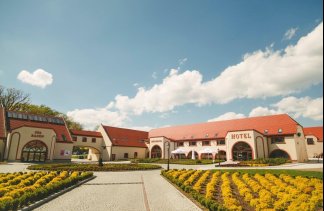 Pałace - Pałac Krotoszyce *** - obiekt - zdjęcie 2 