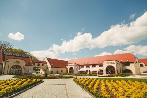 Pałace - Pałac Krotoszyce *** - zdjęcie 2