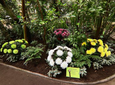 Palmiarnia Poznańska - sale konferencyjne Poznań