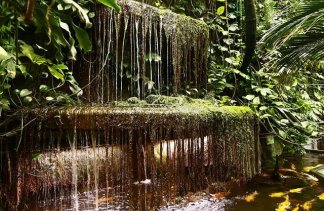 Centra konferencyjne - Palmiarnia Poznańska - obiekt - zdjęcie 6 