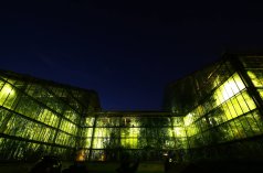 Centra konferencyjne - Palmiarnia Poznańska - zdjęcie 3